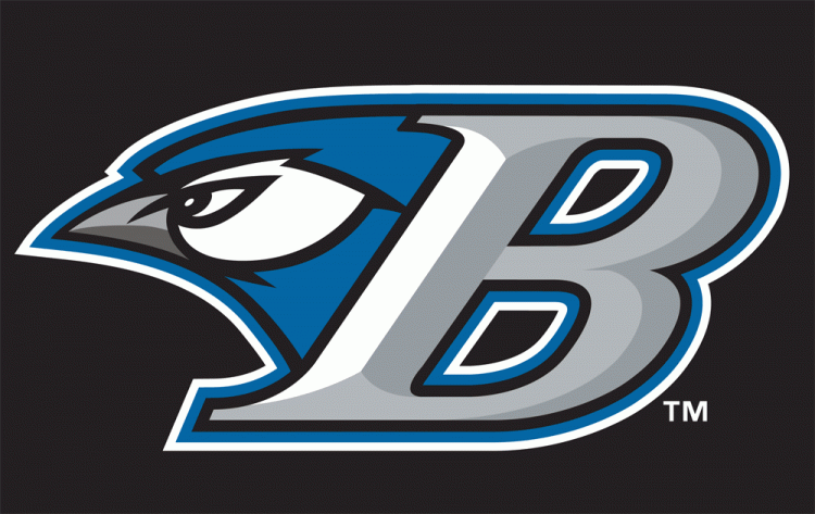 Bluefield Blue Jays 2011 Cap Logo iron on transfers for T-shirts